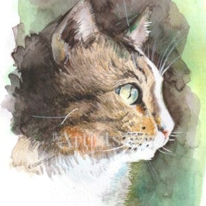 Aquarelle originale profil de chat européen sur papier art format A5