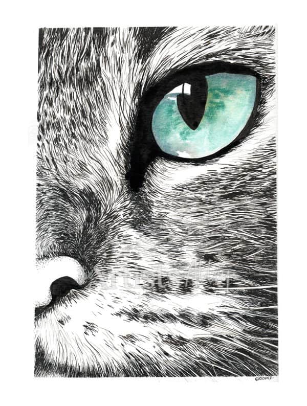 Encre de chine et plume Oeil de Chat sur papier art format 24X32 - 5435